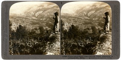 A Silkworm Plantation in the Lebanon Mountains, Syria, 1900s by Underwood and Underwood