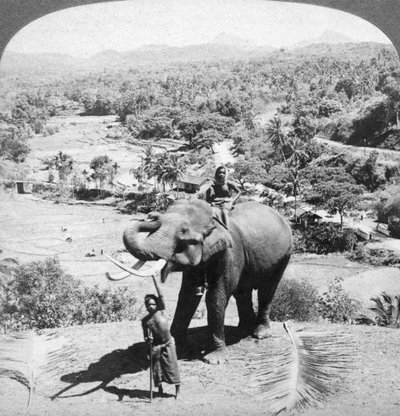An elephant and its keeper, Sri Lanka, 1902 by Underwood and Underwood