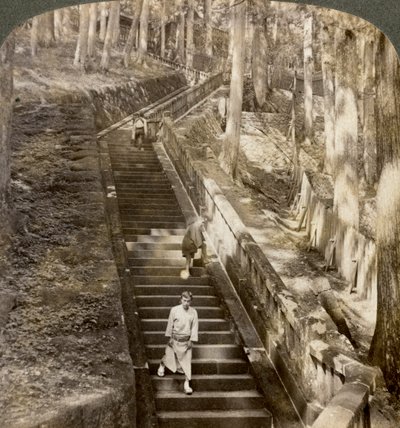 Ancient Stone Stairway up the Hill to the Tomb of Shogun Ieyasu, Nikko, Japan by Underwood and Underwood