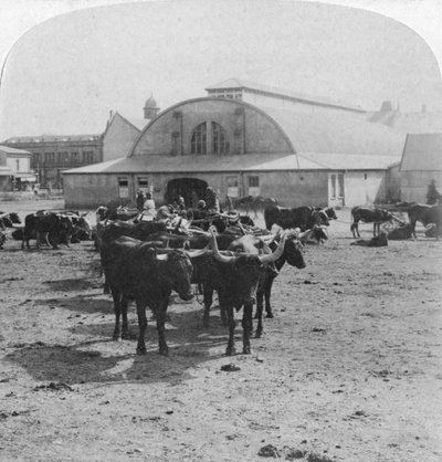 Building in Which Prisoners of War Were Tried, Pretoria, South Africa, Boer War by Underwood and Underwood