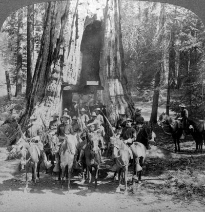 Cavalry passing through the great tree California, California, USA by Underwood and Underwood
