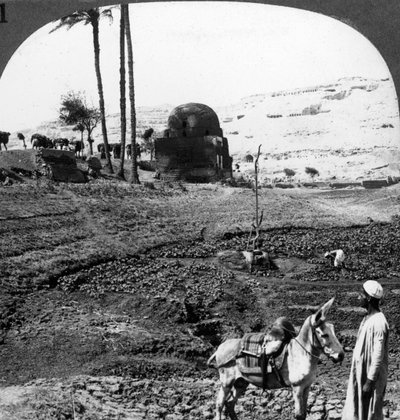 Cliff tombs of the lords of Assiut, Egypt by Underwood and Underwood