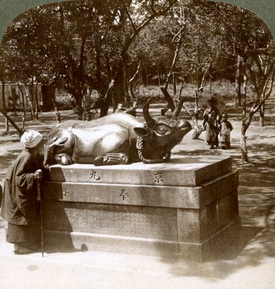 Devout Woman Stroking a Bronze Bull to Cure Rheumatism, Kitano Tenjin Temple, Kyoto, Japan, 1904 by Underwood and Underwood