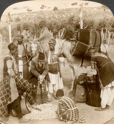 Experts Purchasing Silk Cocoons for Export to France, Antioch, Syria by Underwood and Underwood