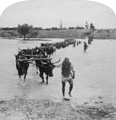 Fording the Modder River, Boer War, South Africa by Underwood and Underwood