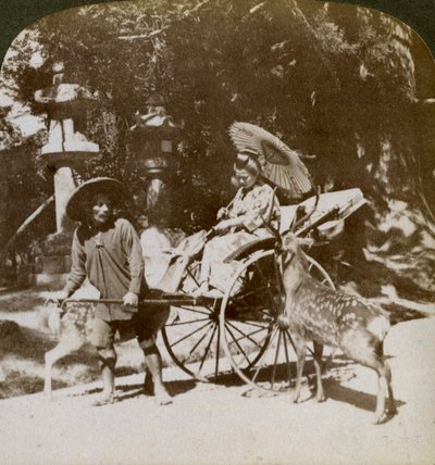 Girl Feeding Sacred Deer on Her Way to Prayers, Grounds of Kasuga Temple, Nara, Japan by Underwood and Underwood