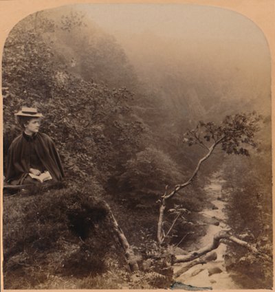 I grant him brave, but wild as Bracklinns thundering wave - Scotts Lady of the Lake by Underwood and Underwood