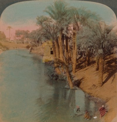 In the Fayum, the Richest Oasis in Egypt on Bahr Yussef River Joseph, to the Nile, 1902 by Underwood and Underwood