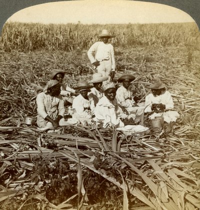 On La Union Sugar Plantation, San Luis, Santiago Province, Cuba by Underwood and Underwood