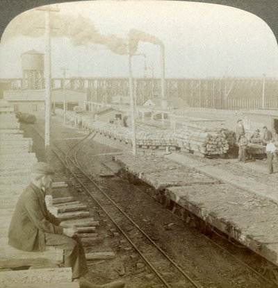 Plant and switchyards of a wood preserving company, Escanaba, Michigan, USA by Underwood and Underwood
