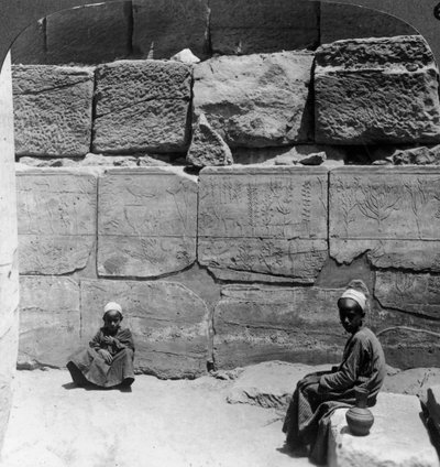 Plants and Animals Brought from Syria by the Pharaohs, Temple of Karnak, Egypt, 1905 by Underwood and Underwood