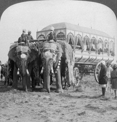 Richly adorned elephants and carriage of the Maharaja of Rewa at the Delhi Durbar, India by Underwood and Underwood