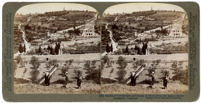 The Garden of Gethsemane and the Mount of Olives, Palestine, 1908 by Underwood and Underwood