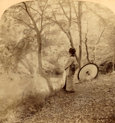 The Golden Days of Autumn in Japan by Underwood and Underwood