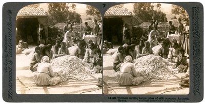 Women sorting large piles of silk cocoons, Antioch, Syria by Underwood and Underwood