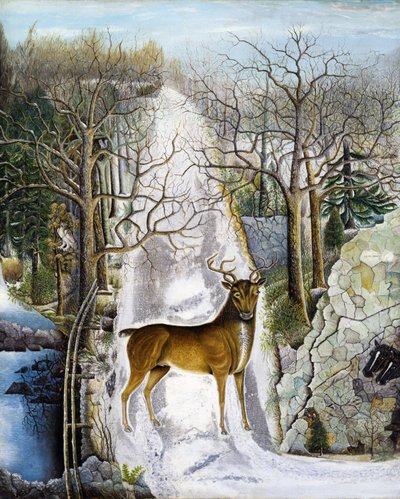 Stag at Echo Rock by Unidentified