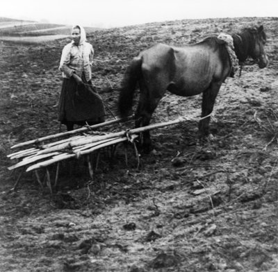 A Peasant Woman with Horse Tilling the Soil on a Farm in Voronovo Village on the Volga in Pre-Revolutionary Russia, 1900 by Unknown