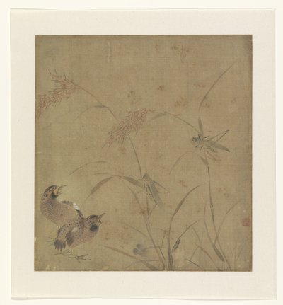 Album Page with a Depiction of Quails by Millet Stalks with Grasshoppers by Unknown