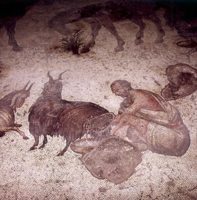 Detail of Floor Mosaic at Great Palace, Istanbul by Unknown