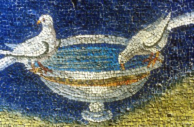 Doves Drinking: Mosaic in Galla Placidia Mausoleum in Ravenna, Italy by Unknown