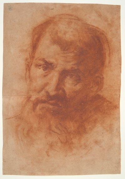 Head of a Bearded Man by Unknown
