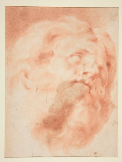 Head of a Man with Beard by Unknown