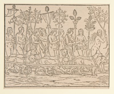 Page from a Copy after Colonna by Unknown