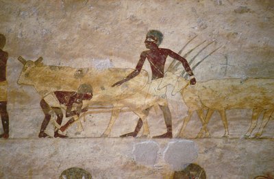 Procession with Cattle and Gazelles, Detail from a Tomb Wall Painting, Egyptian, Old to Middle Kingdom by Unknown