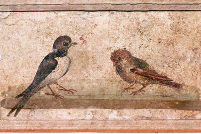 Swallow and Sparrow, Roman wall painting from Boscoreale near Pompeii, 1st century by Unknown