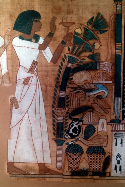 The Fumigation of Osiris, the Book of the Dead of Neb-Qued by Unknown