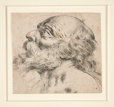 Untitled (Bearded Man, Looking Up to Right) by Unknown