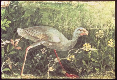 Wall Painting of a Sultan Chicken in a Garden, Pompeii by Unknown