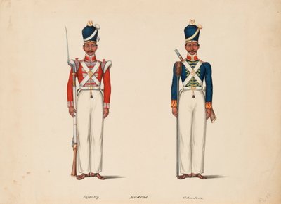 10th Madras Native Infantry and the Madras Artillery by Unknown artist