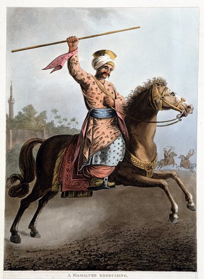 A Mamluk on his Horse - in “Views in Egypt, Palestine and other parts of the Ottoman Empire” by Unknown artist