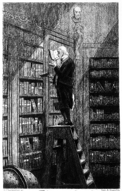 A librarian on his ladder examining books on shelving. Engraving of the 19th century by Unknown artist