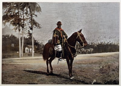 A gaucho in Rio Grande do Sul (Brazil), late 19th century by Unknown artist