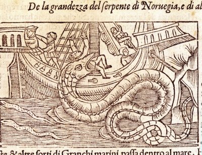 A Giant Marine Snake Attacks a Ship and Beats Its Crew. Engraving by Olaus Magnus, Swedish Religious and Geographer, 