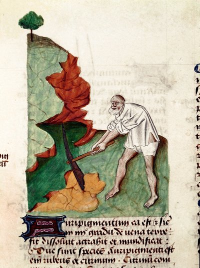 A Gold Seeker by Unknown artist