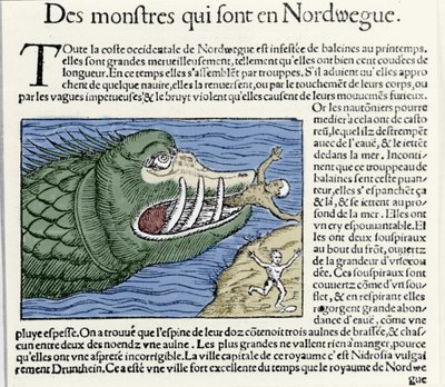 A marine monster beats a swimmer near the coast of Norway. Engraving by Olaus Magnus (1490 - 1557), Swedish religious and geographer, 