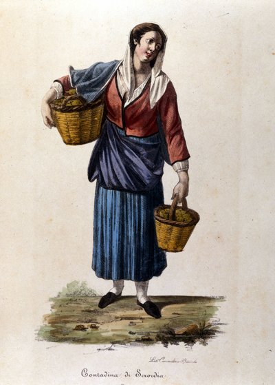 A peasant from the city of Scordia in Sicily by Unknown artist