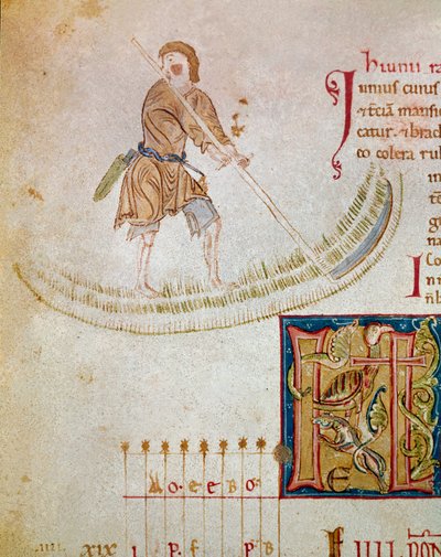 A peasant mowing the grass, month of June by Unknown artist