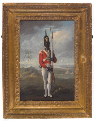 A Private of the 8th West India Regiment by Unknown artist