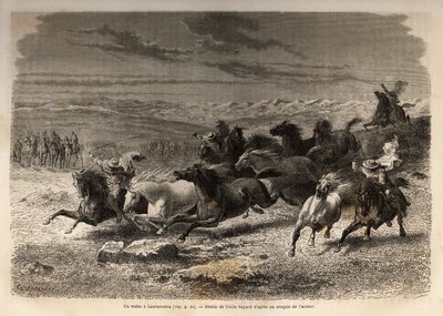 A rodeo in Lauramarca (Lower Peru), the capture of wild horses, before their iron marking with the initials of the owner of the region, considered as a complete spectacle, many onlookers gathered. Engraving to illustrate the voyage in the valleys of Quinqu by Unknown artist