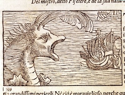 A sperm whale (?) (physeter) attacks a ship. Engraving by Olaus Magnus (1490 - 1557), Swedish religious and geographer, 