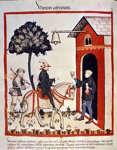 A traveller is welcomed in an inn and is offered a glass of wine. Illumination from the milking of medicine and dietetics 