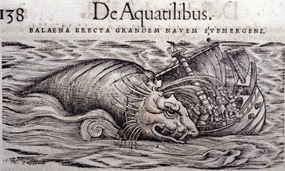 A whale destroys a boat