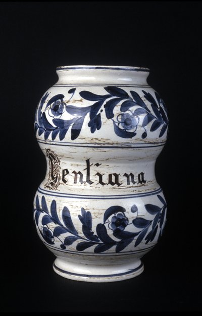 Albarelle: former 16th century pharmacy vase containing gentian. Museum of Science and Technology, Milan by Unknown artist