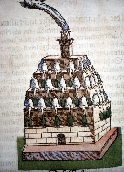 Alchemy: the Athanor Four from a book by Pietro Andrea Mattioli (Matthiole) (1500-1577). Frankfurt by Unknown artist
