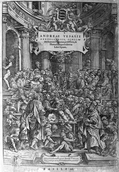 Anatomical room. Frontispiece of the work 