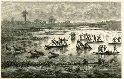 Antelope hunting, annual hunting during migration, antelopes slowed down in the river water are slaughtered by Marutse warriors, who pursue them in balance on canoes. Engraving to illustrate the story Au pays des Marutses, in 1875-1879, by Dr. Emile Holub by Unknown artist